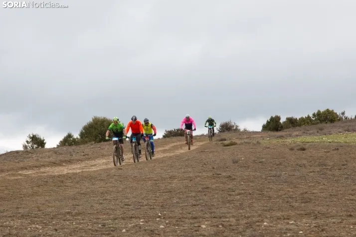 II BTT Trufa de Abejar