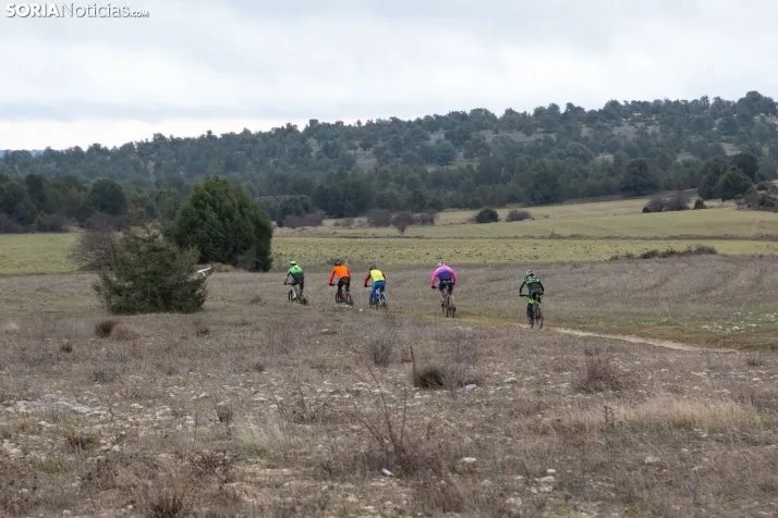 II BTT Trufa de Abejar