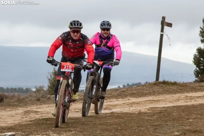 II BTT Trufa de Abejar
