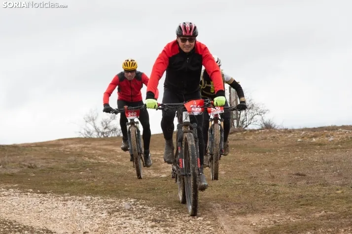 II BTT Trufa de Abejar