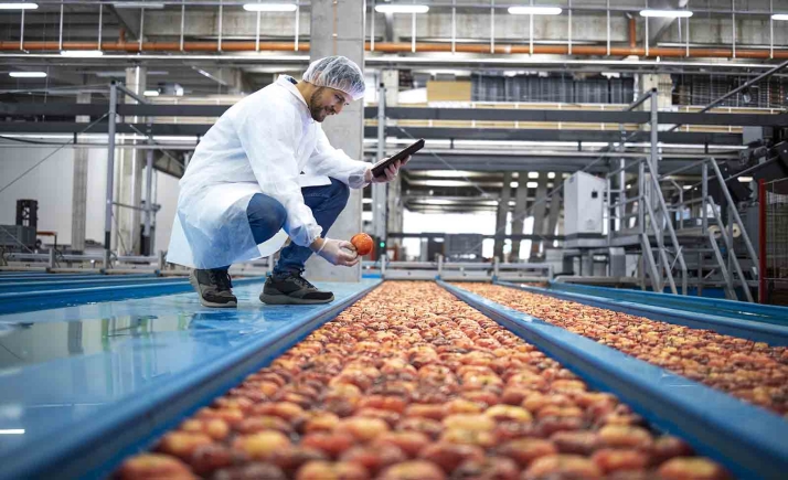 Castilla y León promoverá la transformación digital de la agroindustria a través del programa PAN