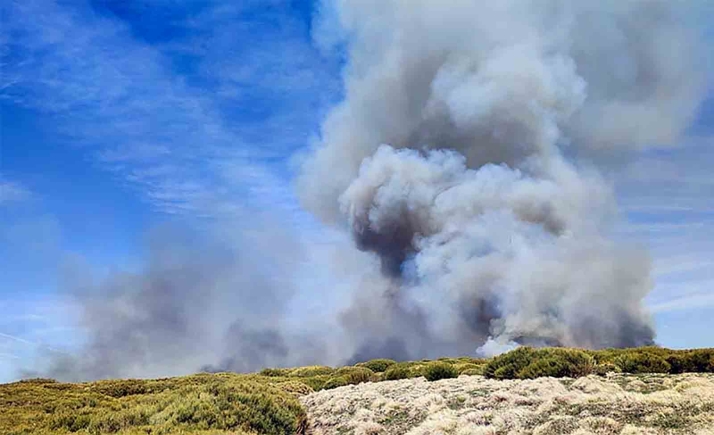 Medios aéreos y terrestres trabajan en sofocar un incendio forestal declarado en Candelario (Salamanca)
