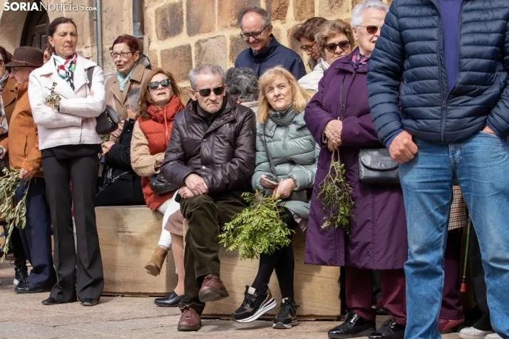 Procesión Domingo de Ramos Soria 2023. /VikSar Fotografía
