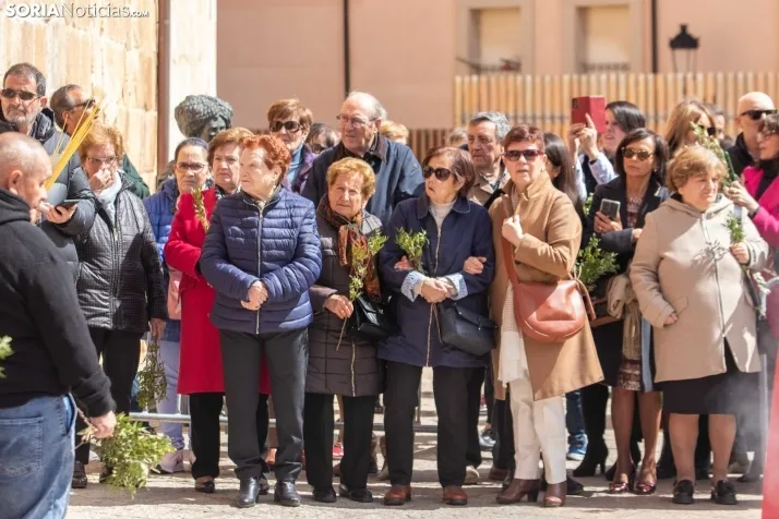 Procesión Domingo de Ramos Soria 2023. /VikSar Fotografía