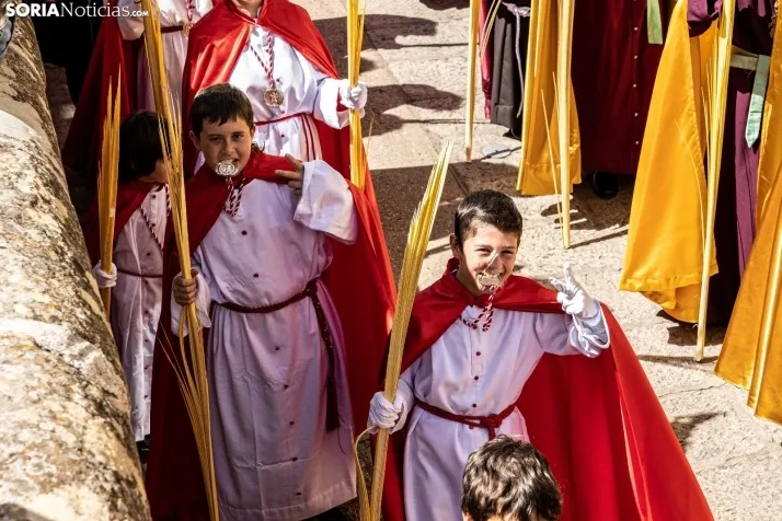 Procesión Domingo de Ramos Soria 2023. /VikSar Fotografía