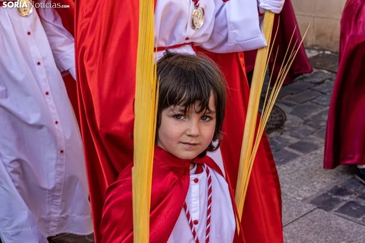 Procesión Domingo de Ramos Soria 2023. /VikSar Fotografía