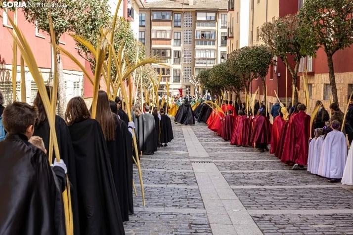 Procesión Domingo de Ramos Soria 2023. /VikSar Fotografía