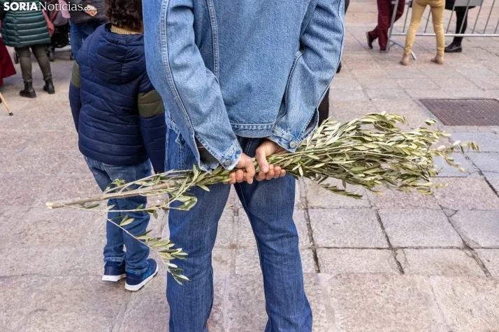 Procesión Domingo de Ramos Soria 2023. /VikSar Fotografía