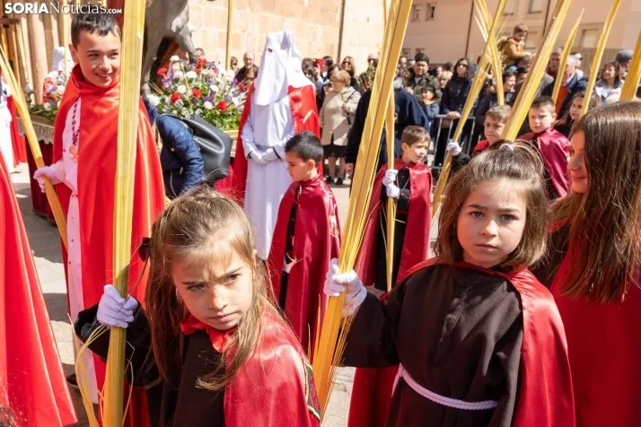 Procesión Domingo de Ramos Soria 2023. /VikSar Fotografía