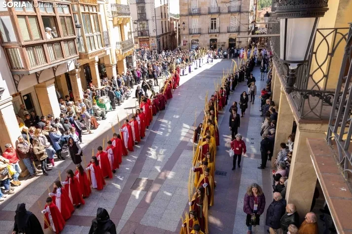 Procesión Domingo de Ramos Soria 2023. /VikSar Fotografía