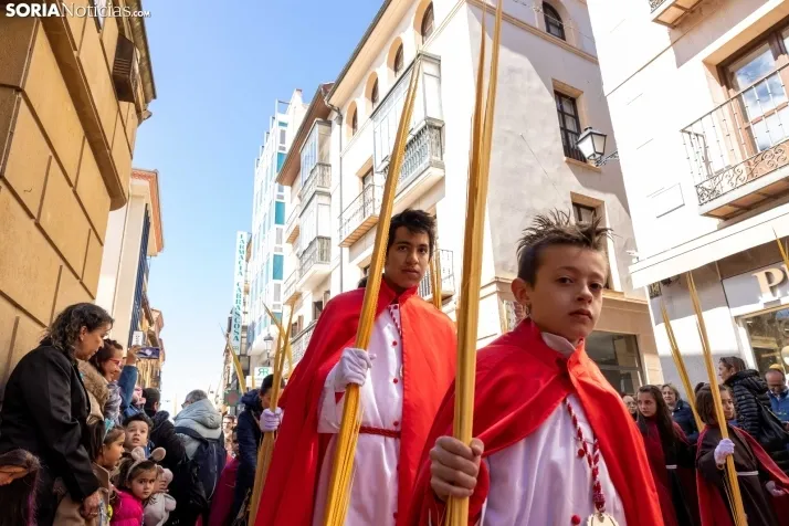 Procesión Domingo de Ramos Soria 2023. /VikSar Fotografía