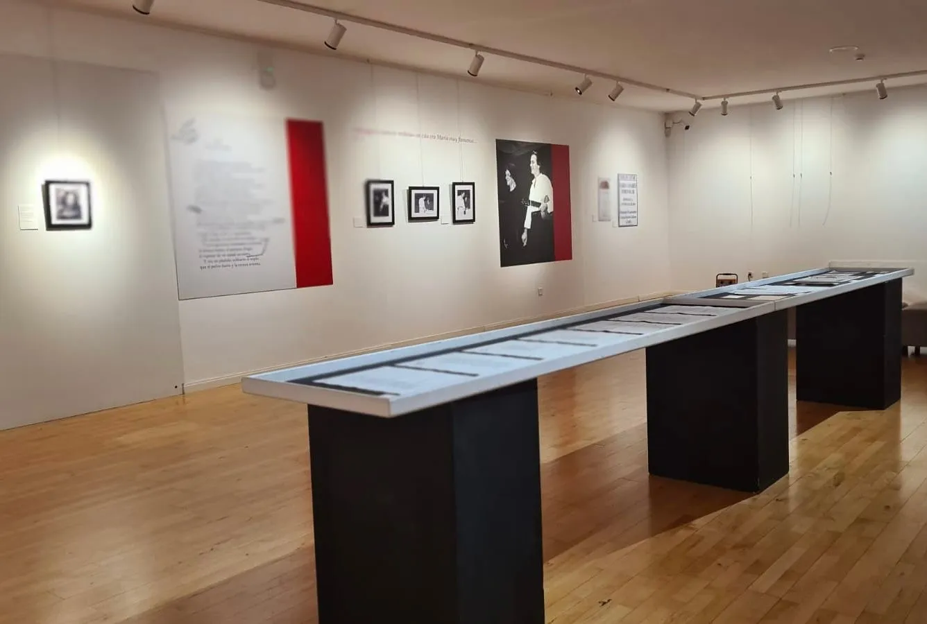 Foto 2 - La muestra &ldquo;Mar&iacute;a Casares, Pedro Soler. Collioure 1989&rdquo; abrir&aacute; sus puertas por &uacute;ltima vez ma&ntilde;ana domingo