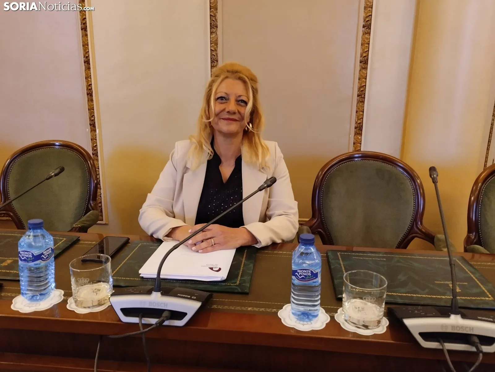 Pleno ordinario del mes de abril en la Diputación de Soria.