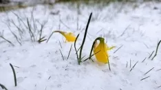 Urbión nevado en el mes de abril. /Agustín Sandoval
