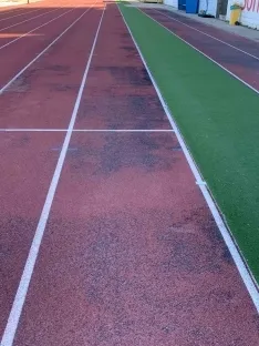 Foto 3 - El PP pide renovar el tart&aacute;n de la pista de atletismo en Los Pajaritos 