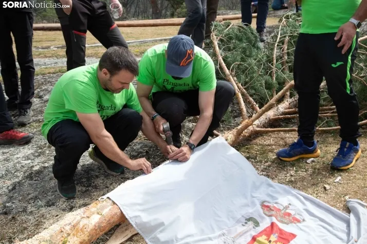 Pingada del Mayo en Covaleda de 2023