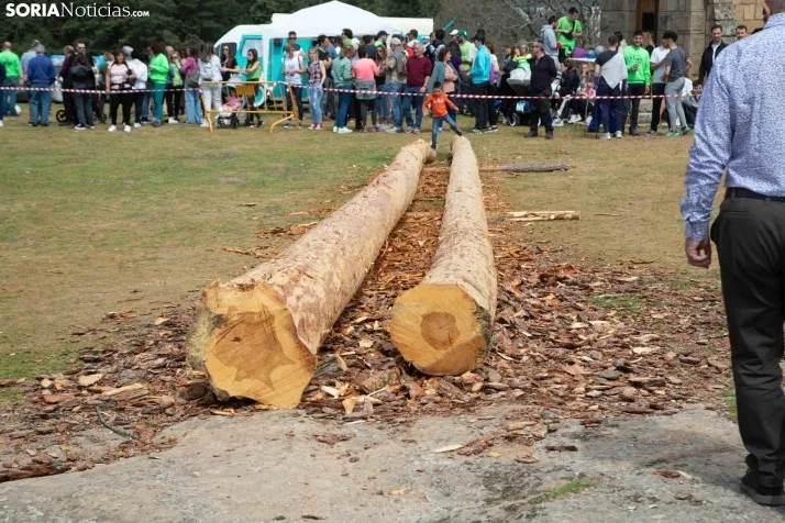 Pingada del Mayo en Covaleda de 2023