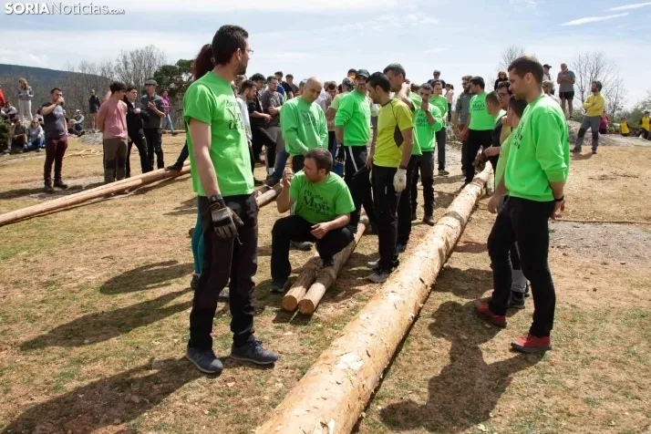 Pingada del Mayo en Covaleda de 2023