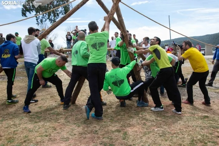 Pingada del Mayo en Covaleda de 2023