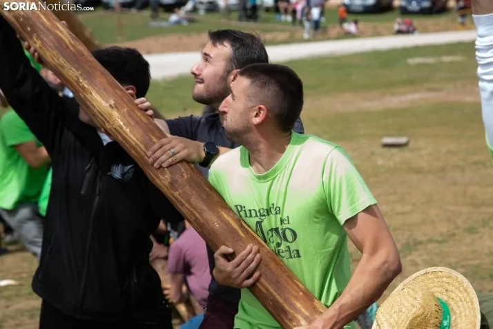 Pingada del Mayo en Covaleda de 2023
