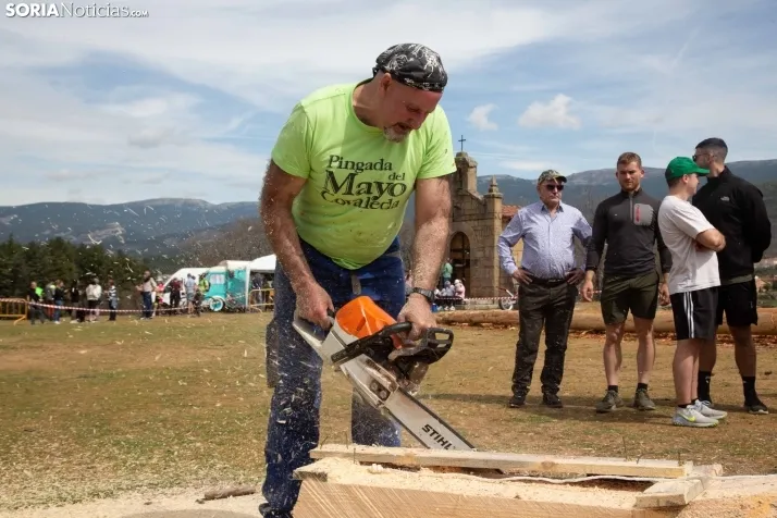 Pingada del Mayo en Covaleda de 2023