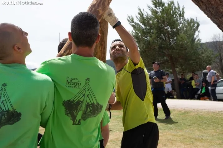Pingada del Mayo en Covaleda de 2023