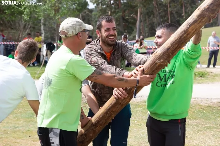 Pingada del Mayo en Covaleda de 2023
