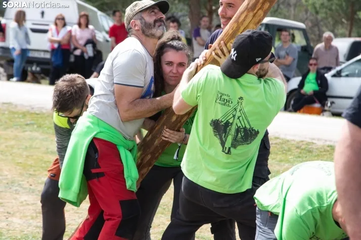 Pingada del Mayo en Covaleda de 2023
