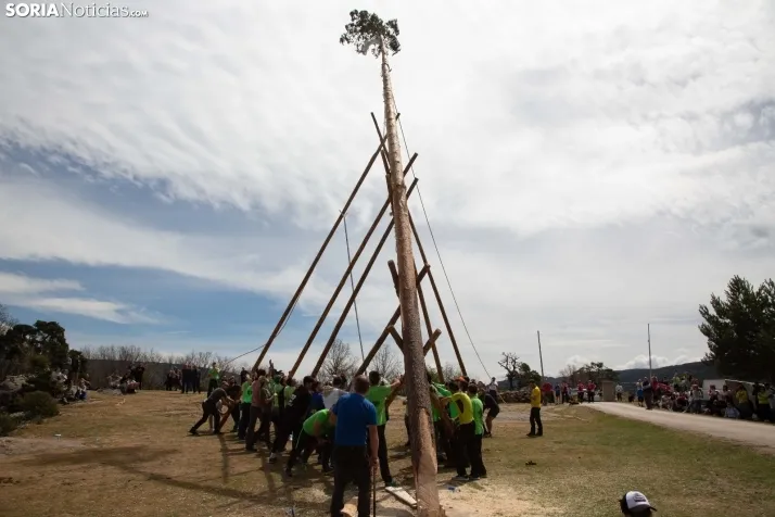 Pingada del Mayo en Covaleda de 2023