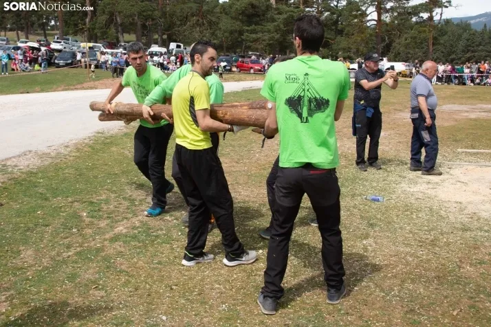 Pingada del Mayo en Covaleda de 2023