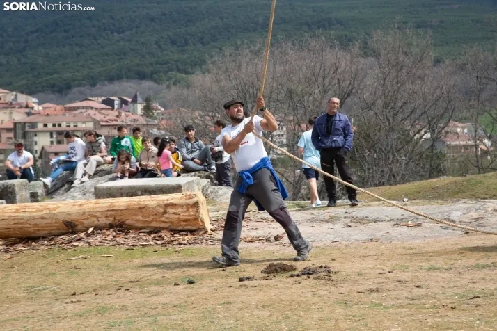 Pingada del Mayo en Covaleda de 2023