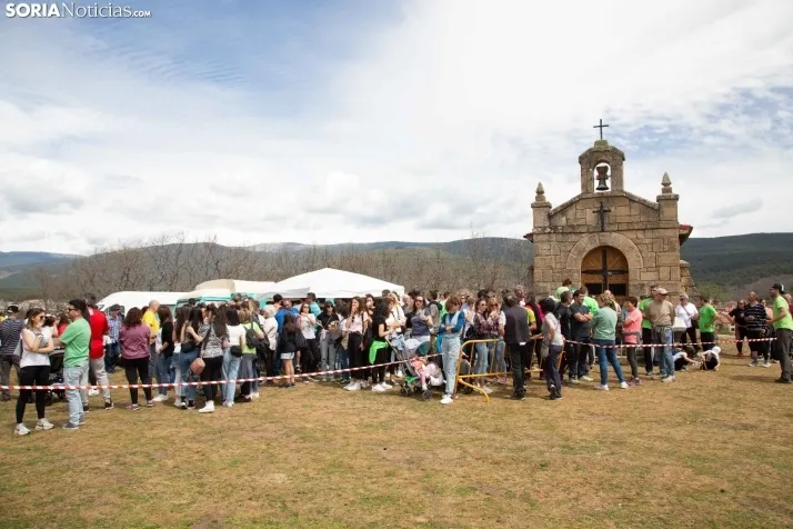 Pingada del Mayo en Covaleda de 2023