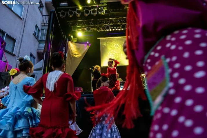 Galer&iacute;a: Coloridos trajes y baile flamenco con los ni&ntilde;os como protagonistas