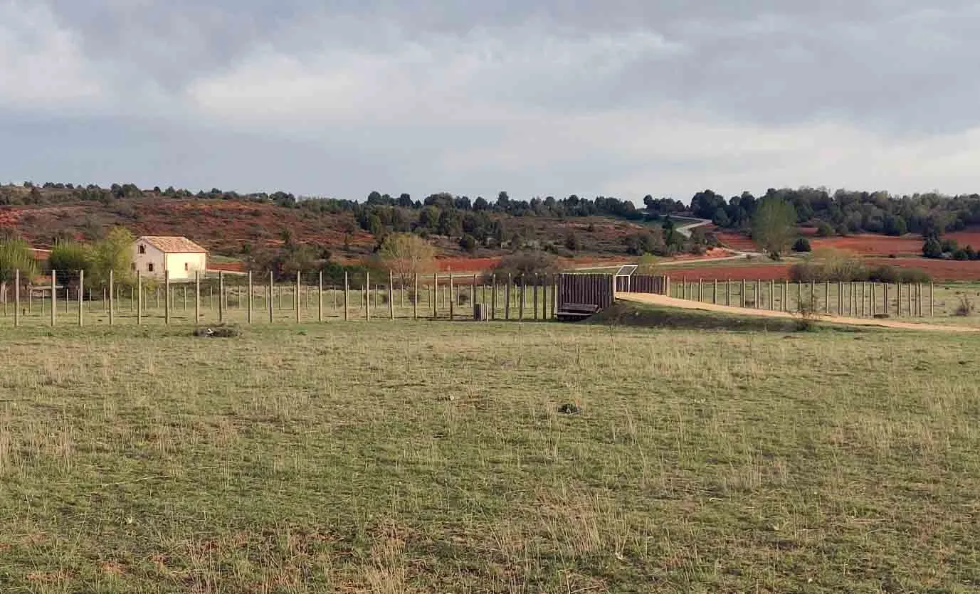 Villa romana Los Quintanares y, al fondo, el Molino de Abajo. 