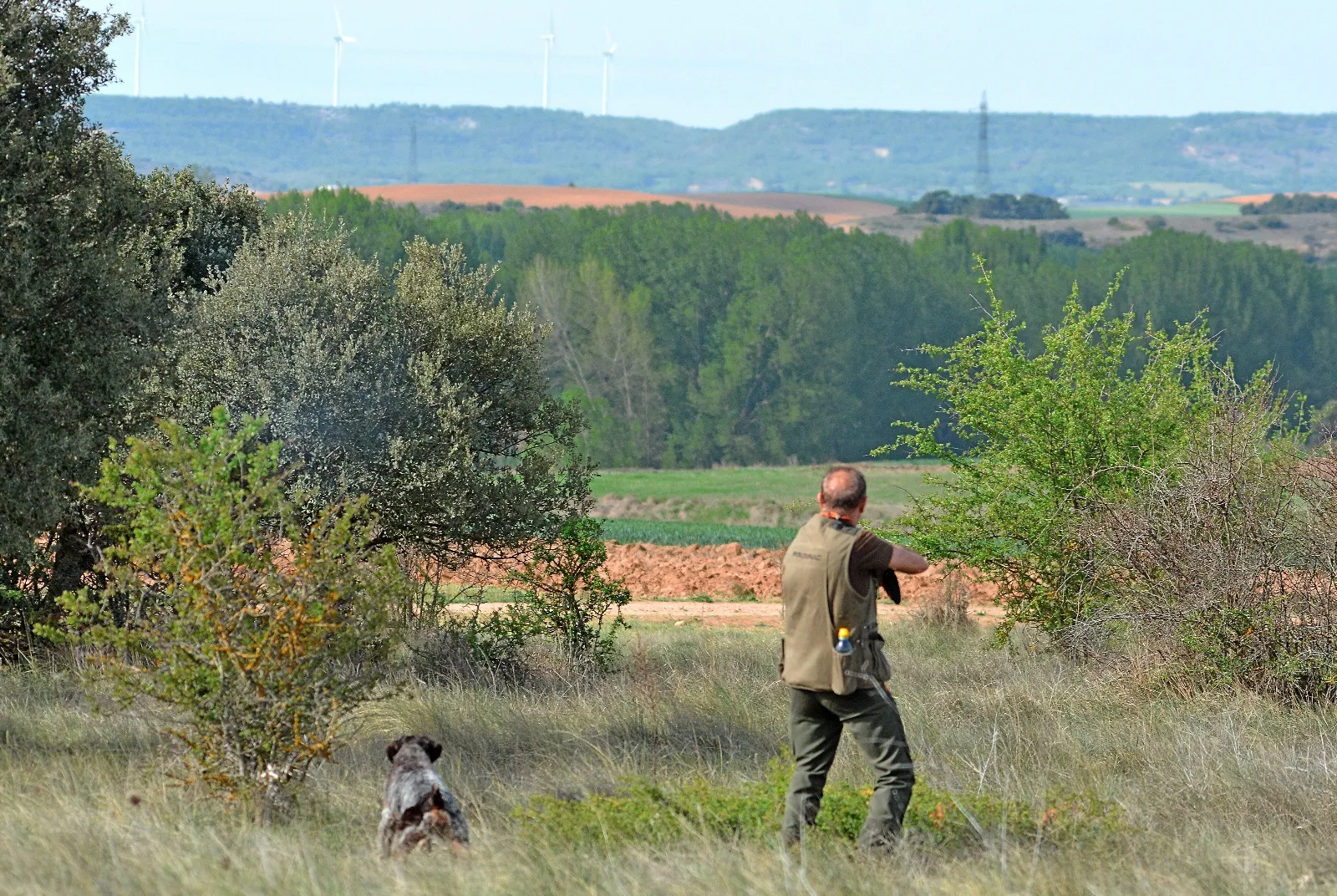 Foto 2 - Los mejores cazadores de perro de muestra de Soria