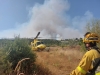Foto 1 - Soria ¡Ya! defiende la vuelta de la avioneta de incendios para Soria y Burgos