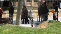 Fotos: Varias aves rapaces anidan en el Espol&oacute;n para sorpresa de los sorianos