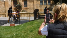 Fotos: Varias aves rapaces anidan en el Espol&oacute;n para sorpresa de los sorianos
