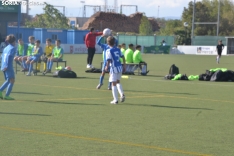 Una imagen de la fase final en la tarde de este domingo. /SN