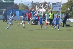 Una imagen de la fase final en la tarde de este domingo. /SN