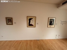 Foto 3 - Picasso ‘visita’ Soria con una exposición que recorre su vida