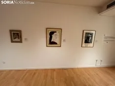 Foto 3 - Picasso &lsquo;visita&rsquo; Soria con una exposici&oacute;n que recorre su vida