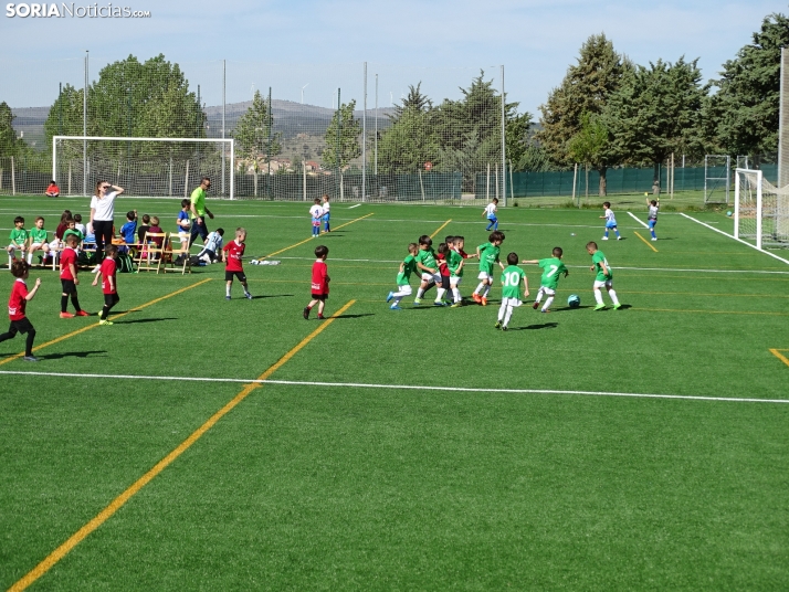 GALER&Iacute;A | Los m&aacute;s peque&ntilde;os meten gol en el I Torneo de F&uacute;tbol Debutante de Camaret