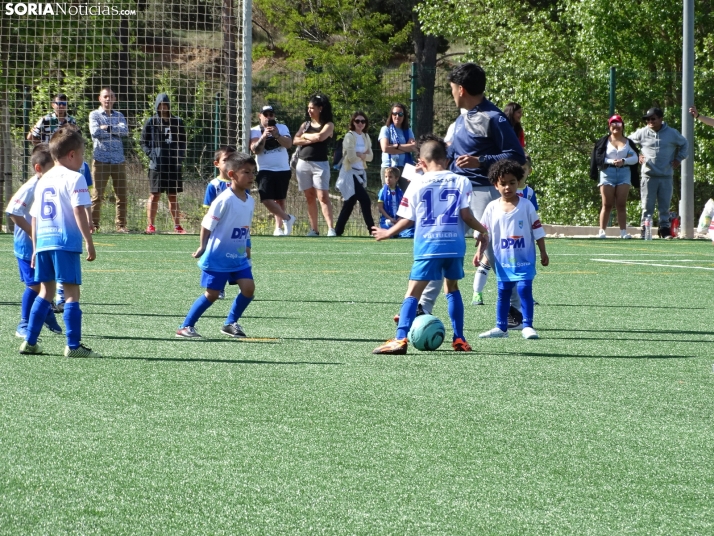 GALER&Iacute;A | Los m&aacute;s peque&ntilde;os meten gol en el I Torneo de F&uacute;tbol Debutante de Camaret