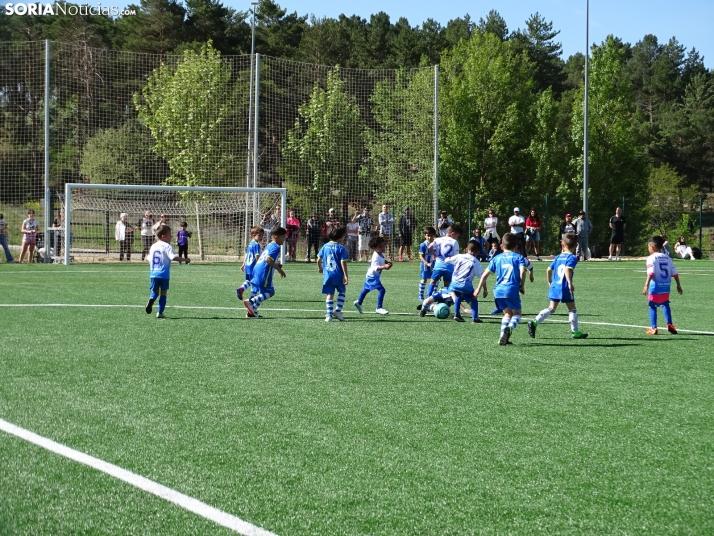 GALER&Iacute;A | Los m&aacute;s peque&ntilde;os meten gol en el I Torneo de F&uacute;tbol Debutante de Camaret