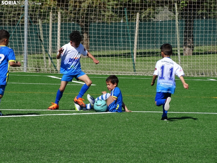 GALER&Iacute;A | Los m&aacute;s peque&ntilde;os meten gol en el I Torneo de F&uacute;tbol Debutante de Camaret