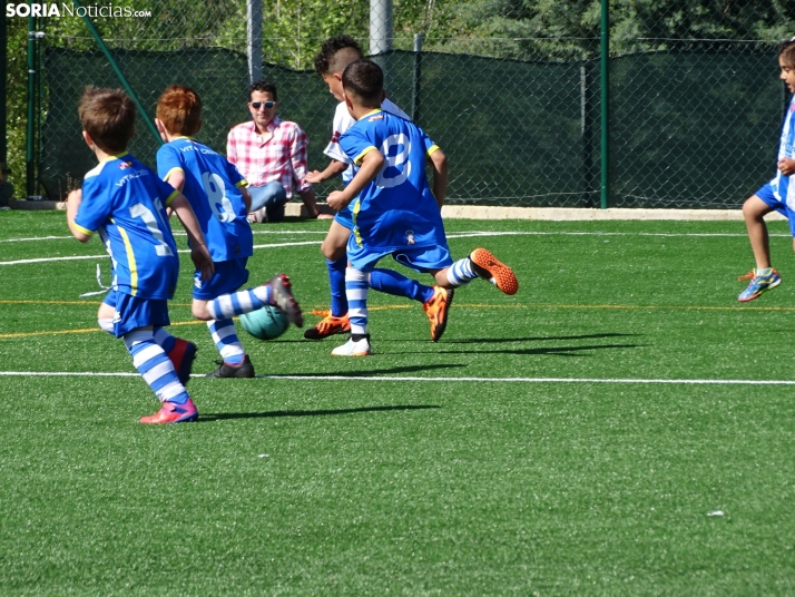 GALER&Iacute;A | Los m&aacute;s peque&ntilde;os meten gol en el I Torneo de F&uacute;tbol Debutante de Camaret