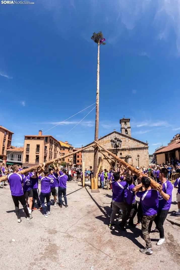 Pingada de Mayo San Leonardo 2023