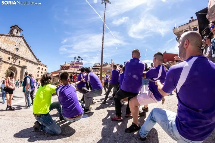Pingada de Mayo San Leonardo 2023