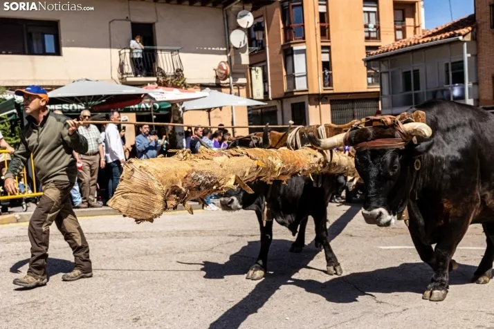 Pingada de Mayo San Leonardo 2023
